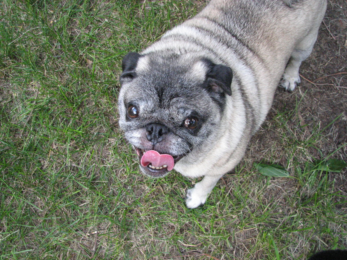 He will warm up to it after a while.