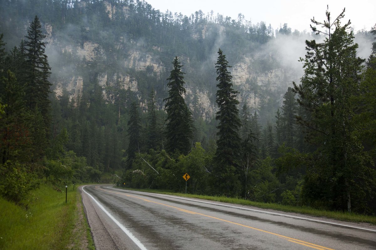Spearfish Canyon at 6:30 am.