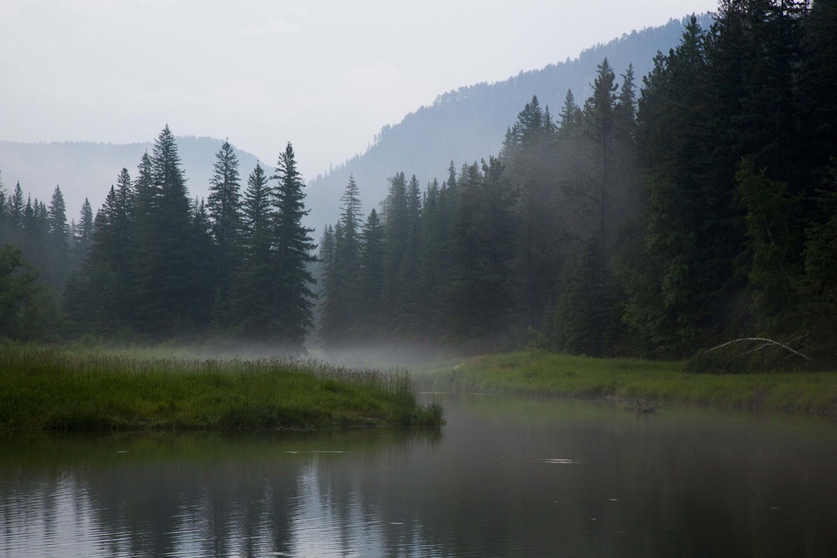 I half expected some watery tart to throw a sword at me.