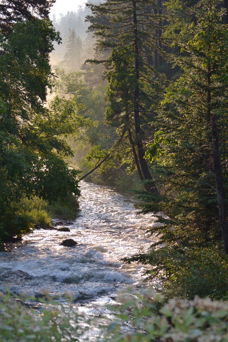 Spearfish Canyon at 6:30 am.