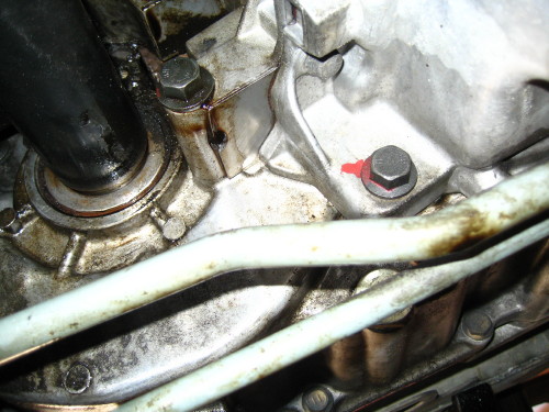 Oil shows up on tranny and power steering lines.