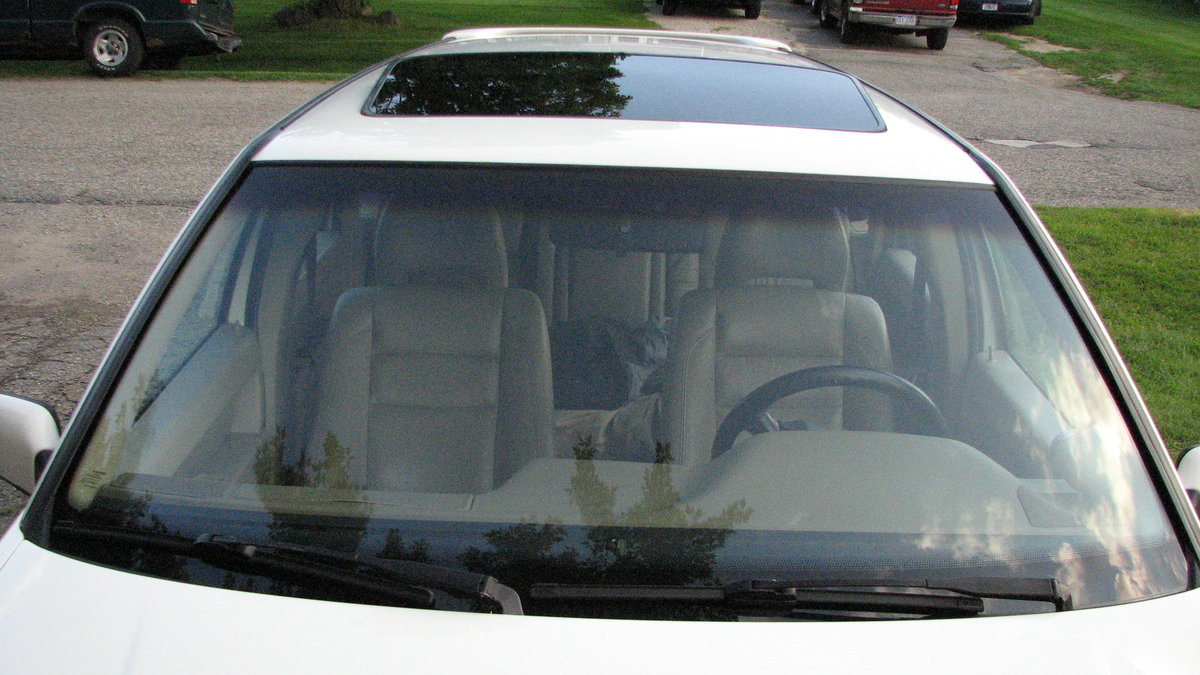 They look great and should be pleasantly functional.