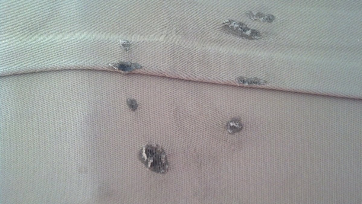 drivers side first app