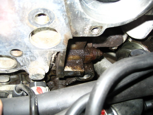 Oil seems to be coming from the exhaust stud nearest the rear cam seal.