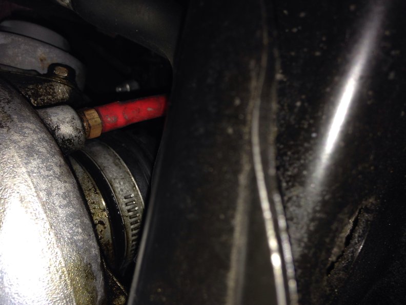 Oil btw turbo and pipe