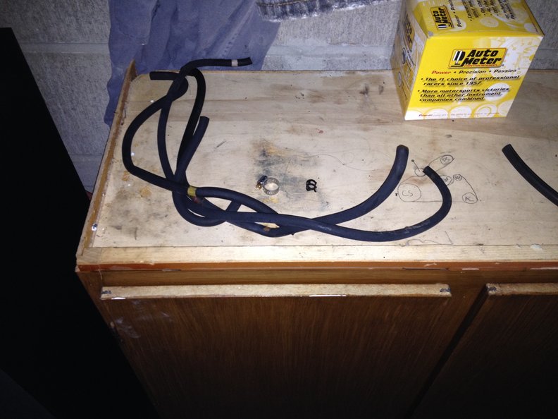 4 old hoses prior to being put to death