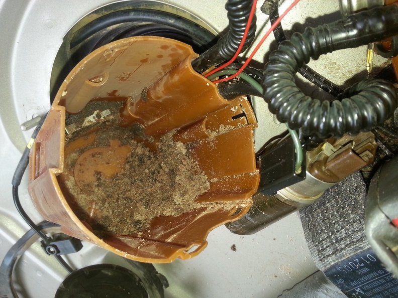 With good clean Aussie fuel,  pumps should last about 60,000kms !!  I can now build a sandcastle!!