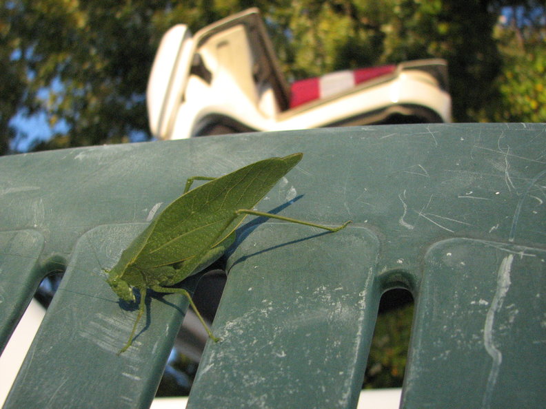 Washed the white ones as well. Good company.