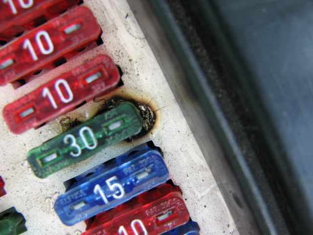 I could see an issue.