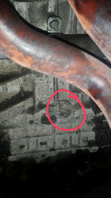 2015-02-05 12.19.29.jpg