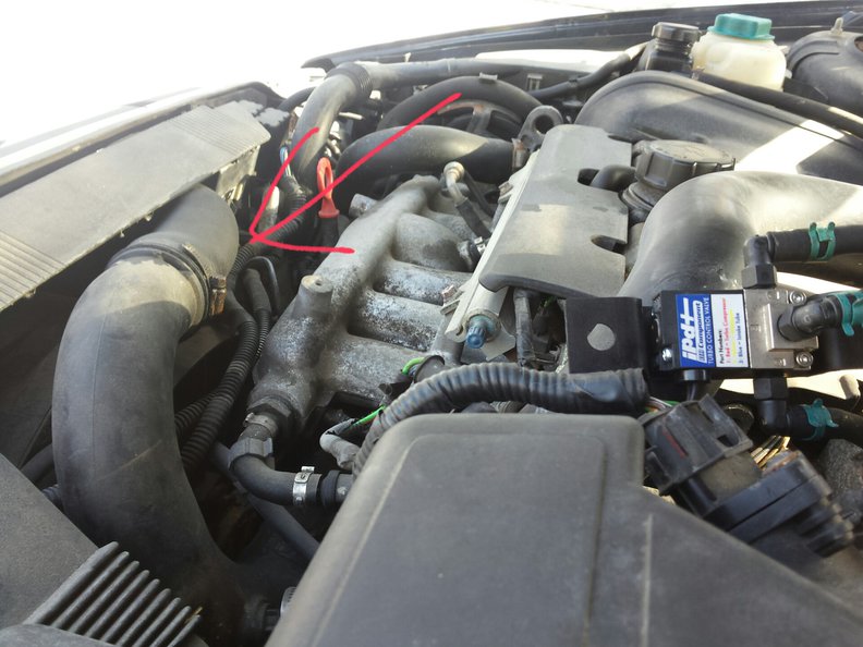 2015-02-22 12.01.02.jpg