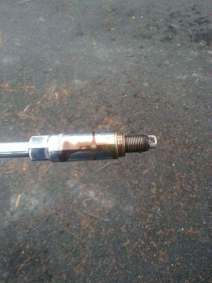 received_764170007032539.jpeg
