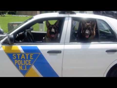 NJ ST K9.jpg
