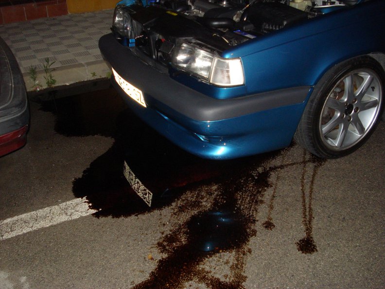 DSC05485 (Large).JPG