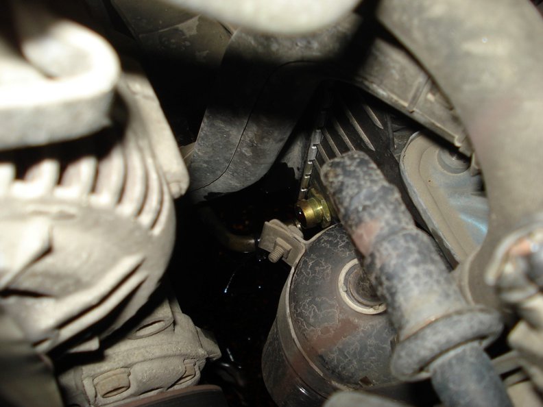 DSC05488 (Large).JPG