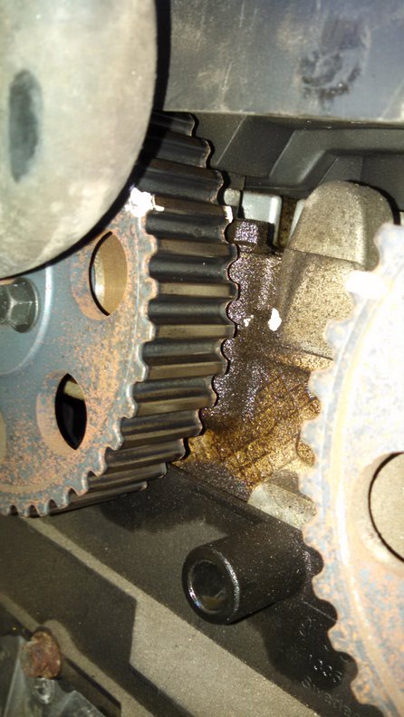 IMG_20150616_195835_614 - Copy.jpg