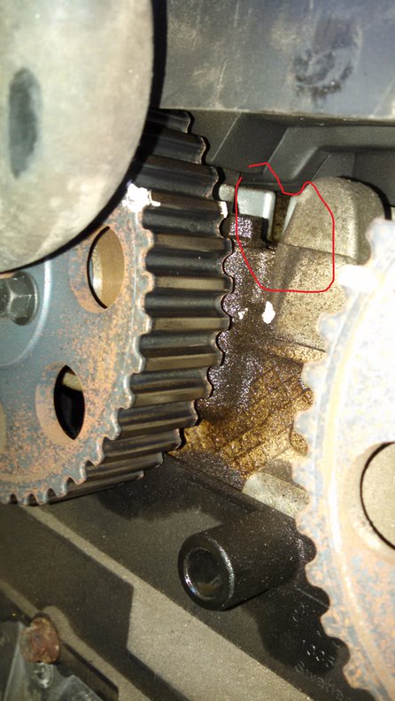 IMG_20150616_195835_614 - Copy.jpg