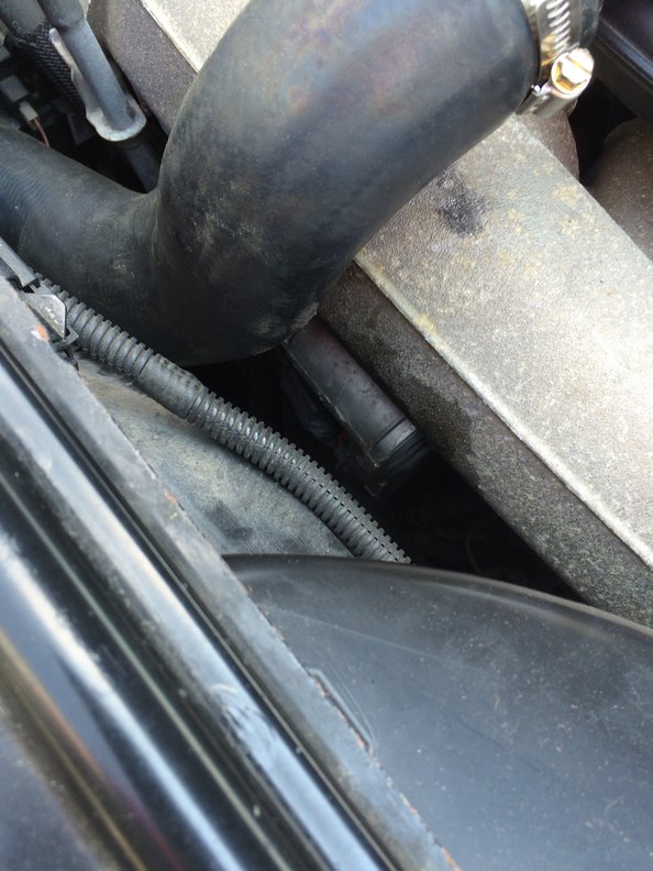 Second pic of 02 s80 throttle body