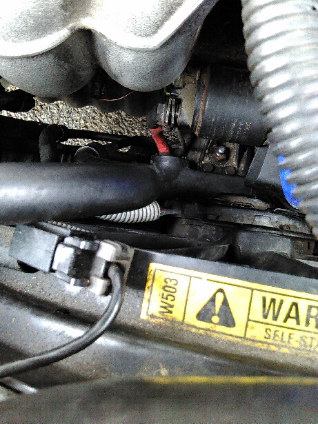 Starter Wiring.jpg