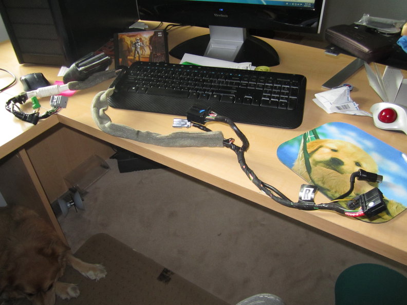 Wiring harness for amp