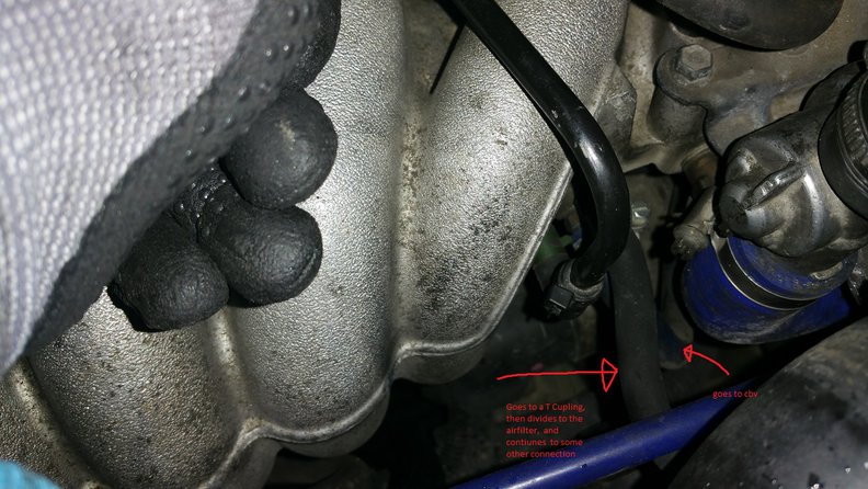 intake manifold hoses.jpg