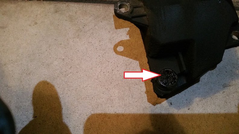 Clogged Trap hole...