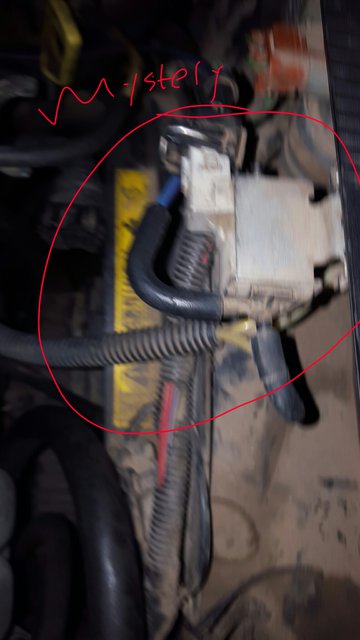 Mystery solenoid . Purple ran to pcv system amd vacuum tree