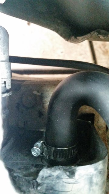 20160225_125032 (2).jpg