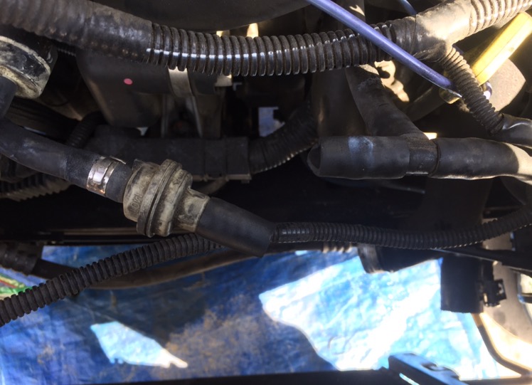 Broken hose that I need identified.