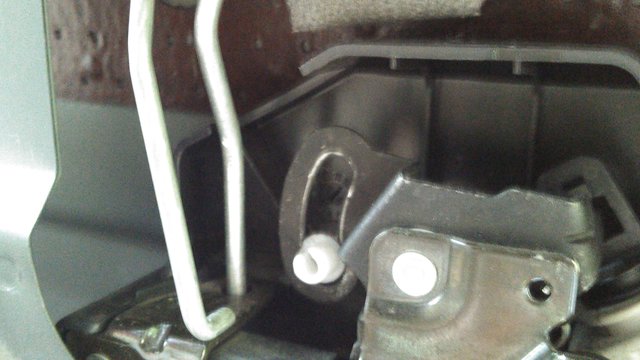 Pulled from Platic Seat.jpg