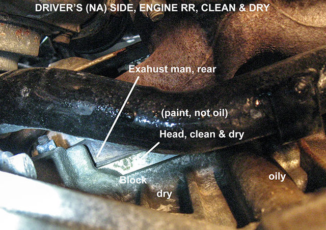 Oil-leak-driver's-side_3101.jpg