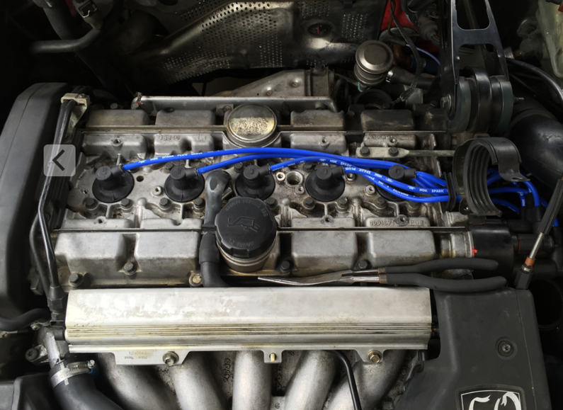 Beautiful blue NGK wires. Too bad they are just going to be covered up.