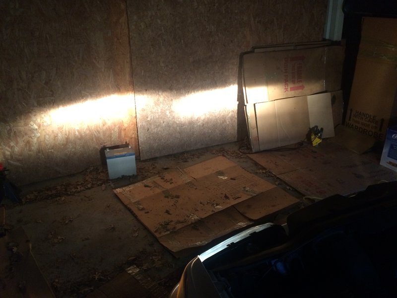 Both new Phillips bulbs in new TYC headlamps