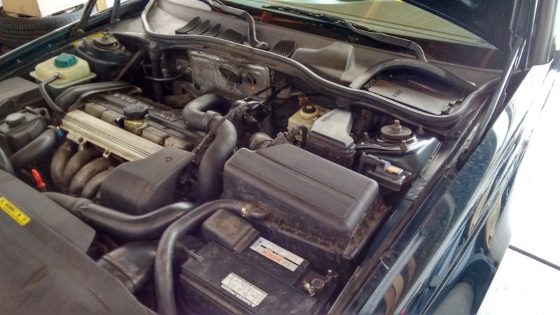 2016-04-26 12.29.06.jpg