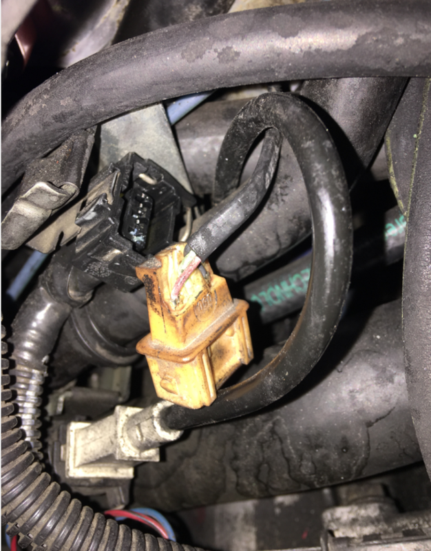 The connector on my sensor has seen better days. It's getting replaced.