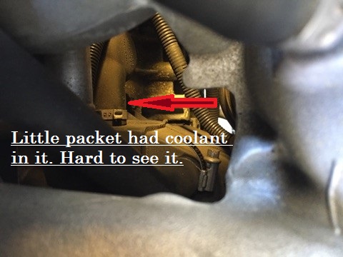 Coolant Leak from Top.jpg