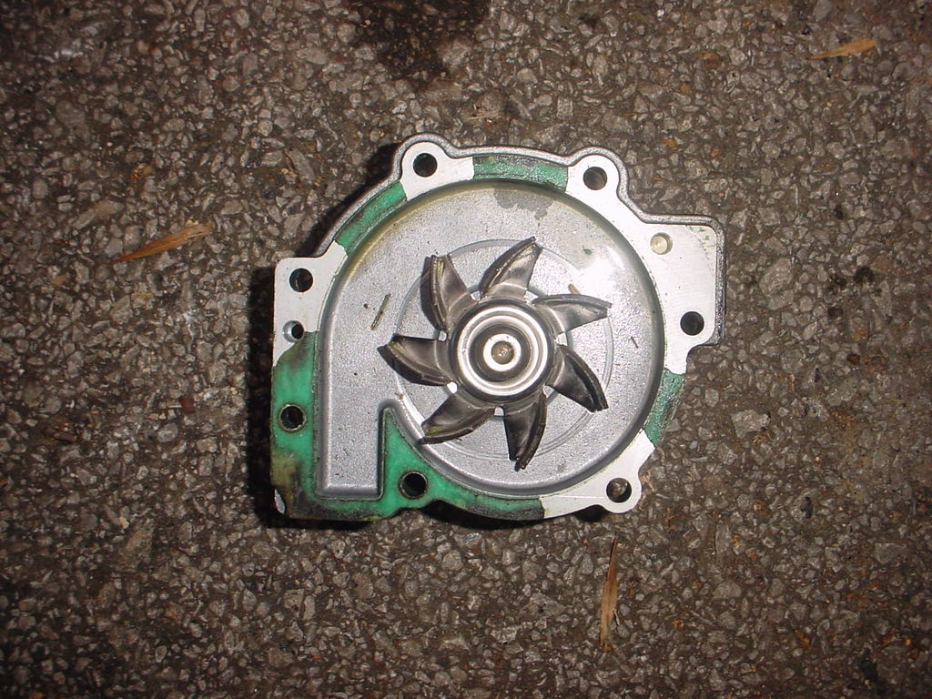 DSC02437.JPG