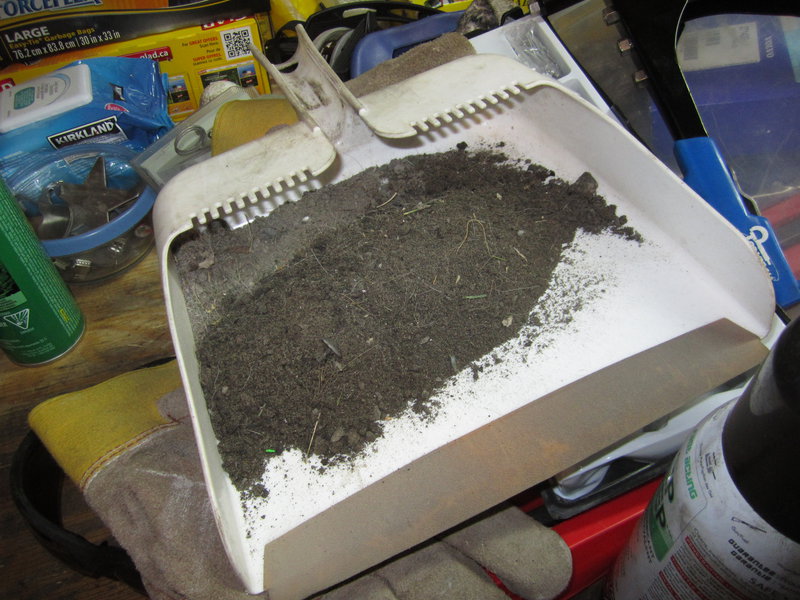 Muck from front mudflaps