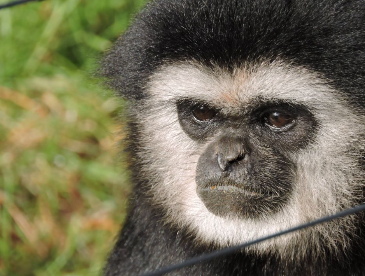 Screen Shot 2016-08-16 at 11.20.55 AM.png