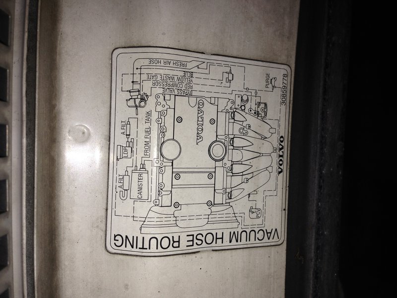 Look up for my help is from the Lord !