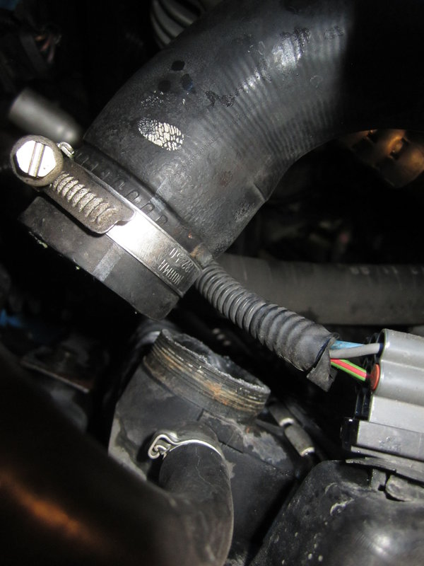 Top radiator outlet pipe (4)