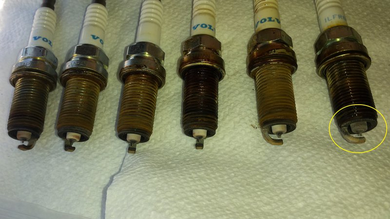 Sparkplugs.jpg