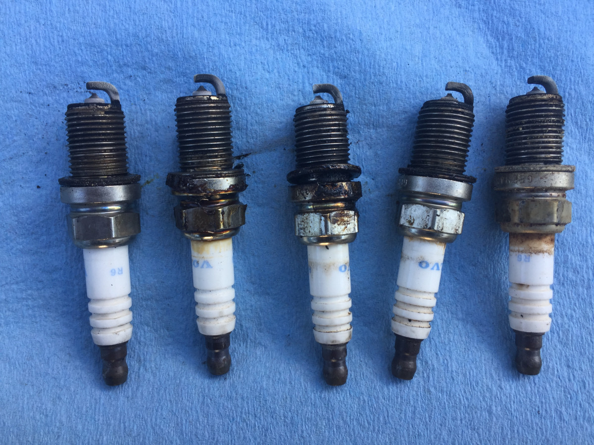 16 year old plugs