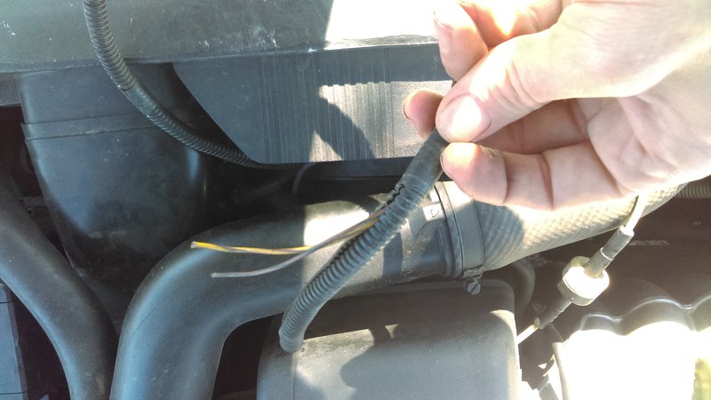 Must of gone to something