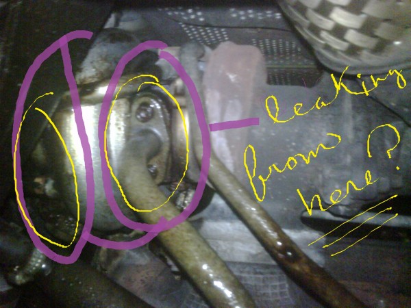 upon visual inspection..It seems to me like the circled spots are where all the oil is coming from...