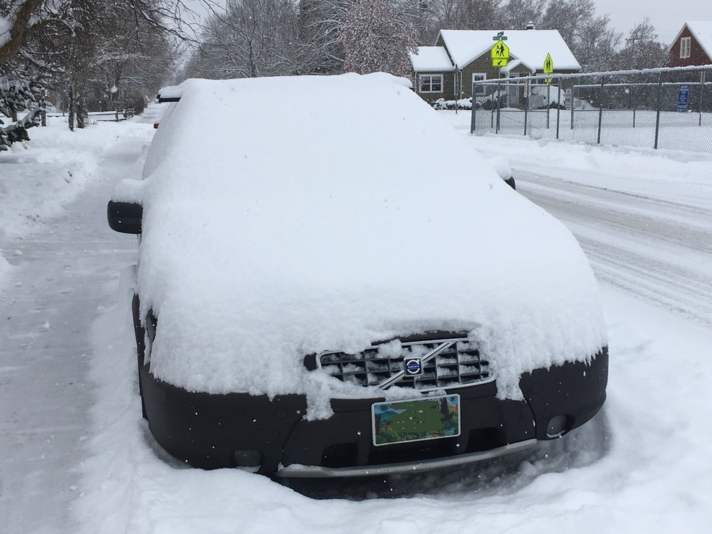 nose snow.png