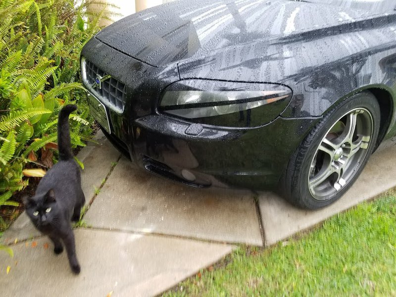 2008 volvo c70 headlights.jpg