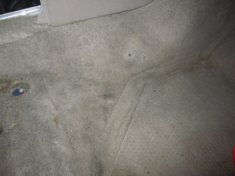 More dirt and coffee