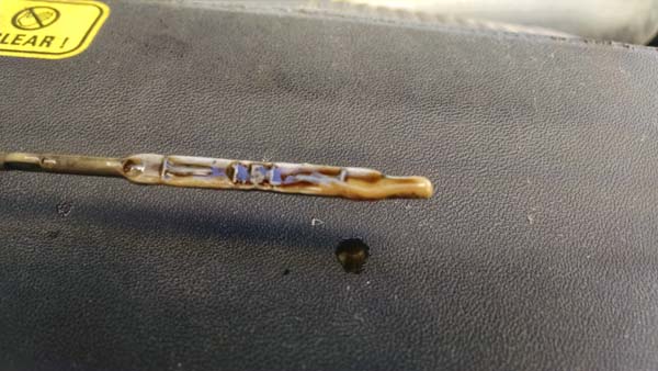 2017-04-09 12.09.38_600px.jpg