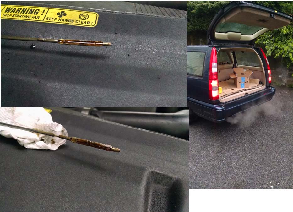 2017-04-22 06.24.23_600px.jpg